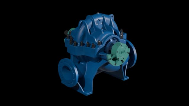 Double Type D Pumps